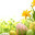 Easter Opening Times