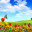 May Bank Hoilday May 26